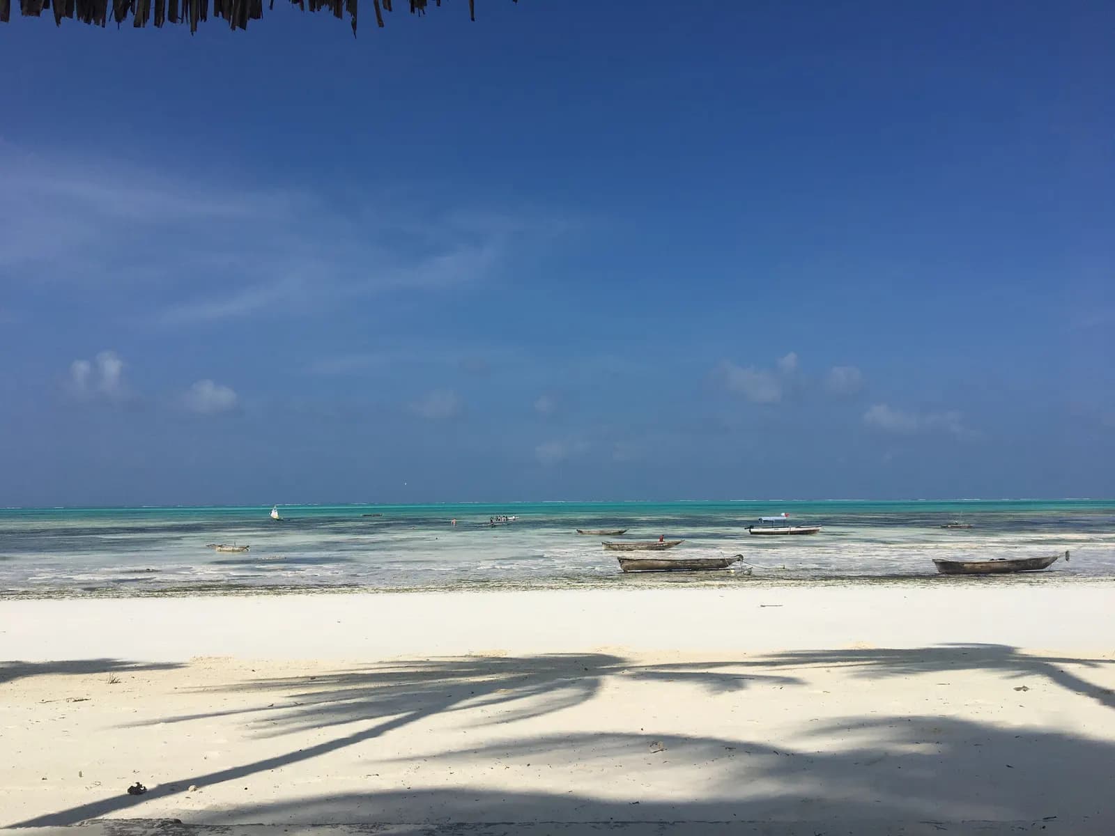 The beach at Jambiani at low tide, with palm shadows on the white sand and wooden boats resting on the lagoon