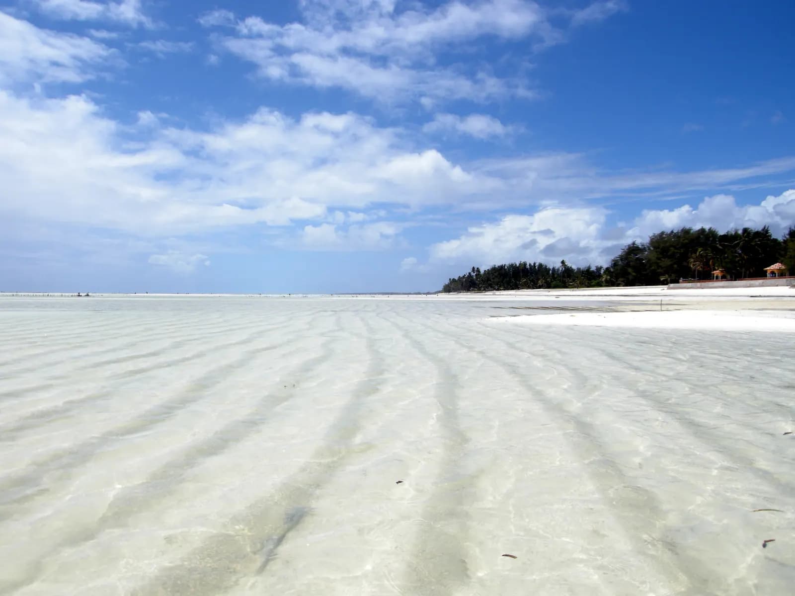 Paje beach at low tide, with ripples of white sand under a thin layer of water stretching towards a line of trees